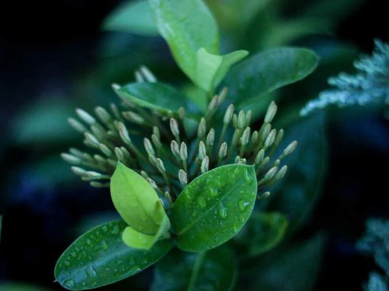 고촌읍고압세척