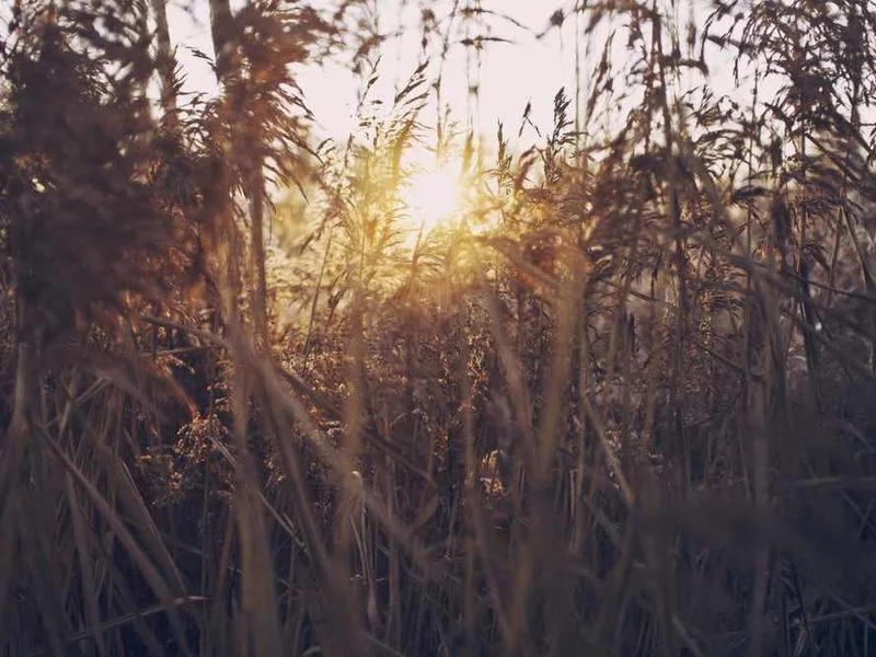 고촌읍변기역류