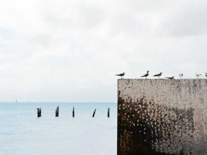 고촌읍싱크대역류