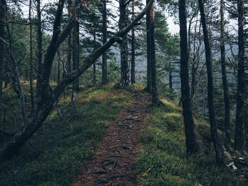 고촌읍씽크대막힘