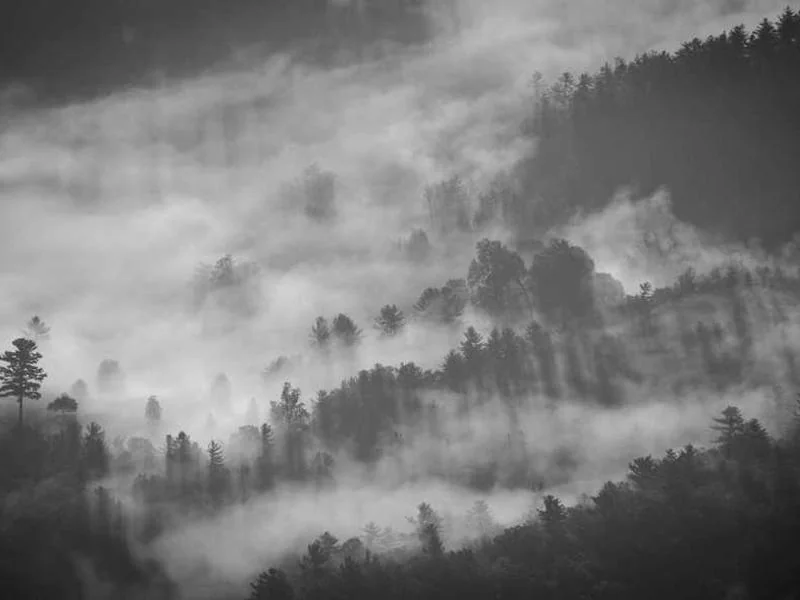 고촌읍씽크대역류