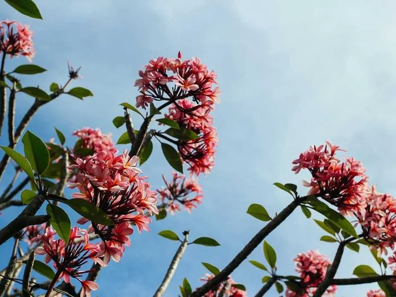 고촌읍하수구뚫음