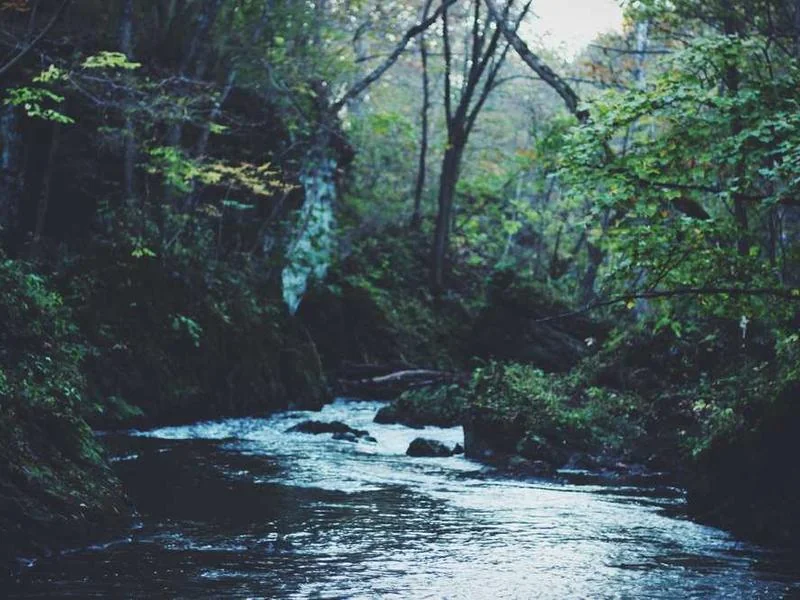 고촌읍하수구뚫음