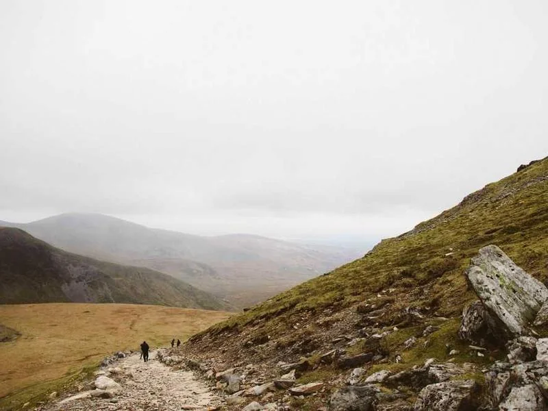 고촌읍하수구막힘