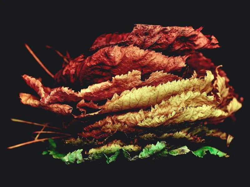 고촌읍하수구막힘