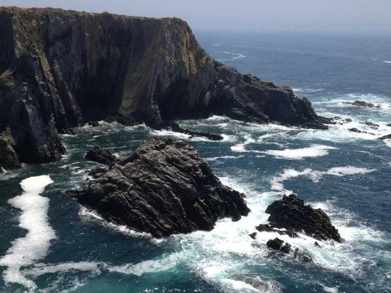 고촌읍하수구막힘