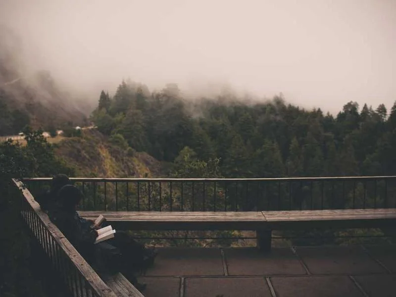 고촌읍하수구역류