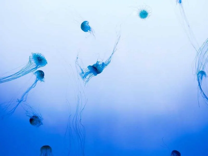 김포씽크대막힘