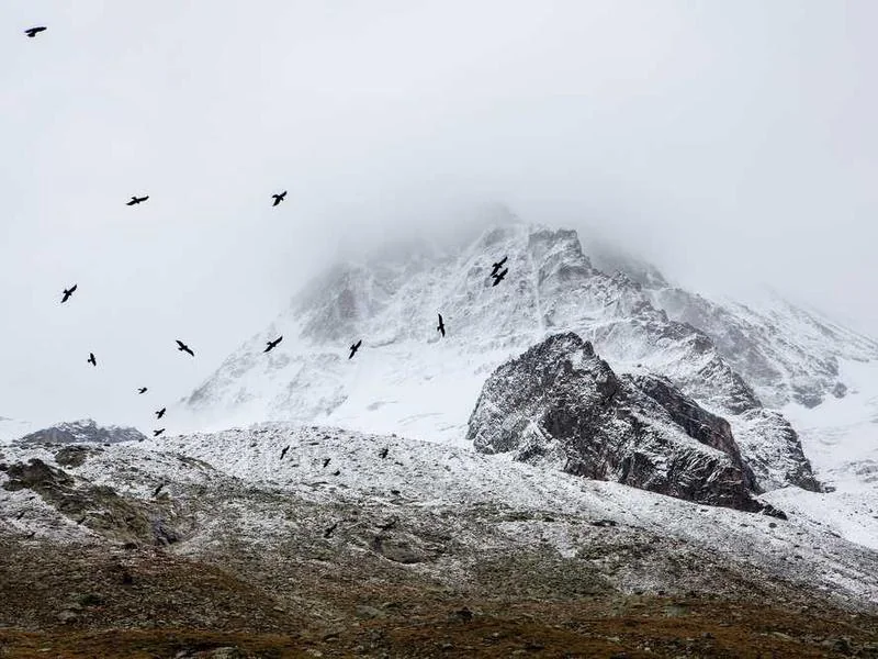 대곶면고압세척