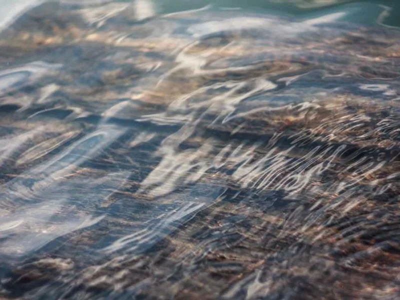 대곶면변기막힘