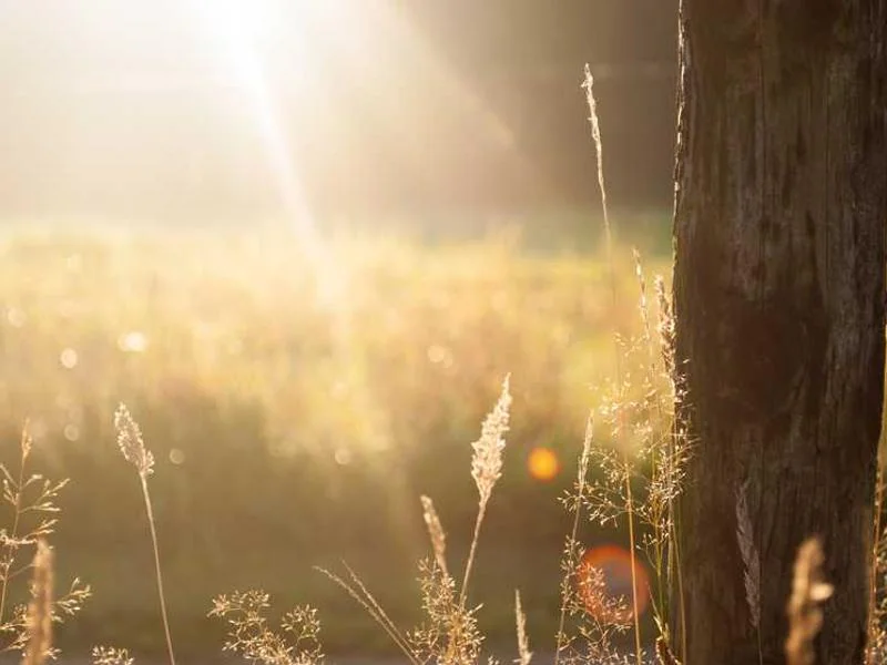 대곶면변기막힘