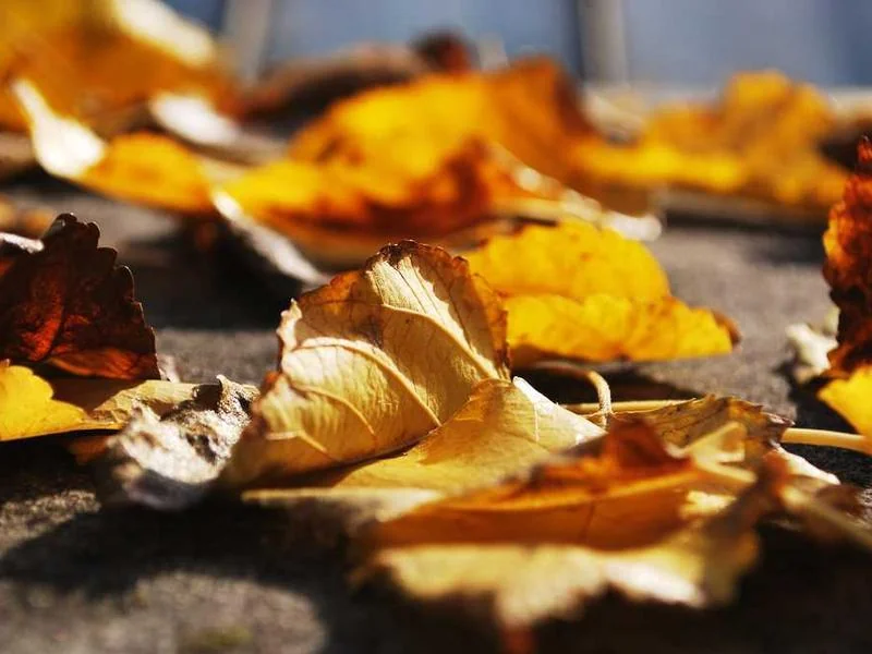 대곶면변기역류