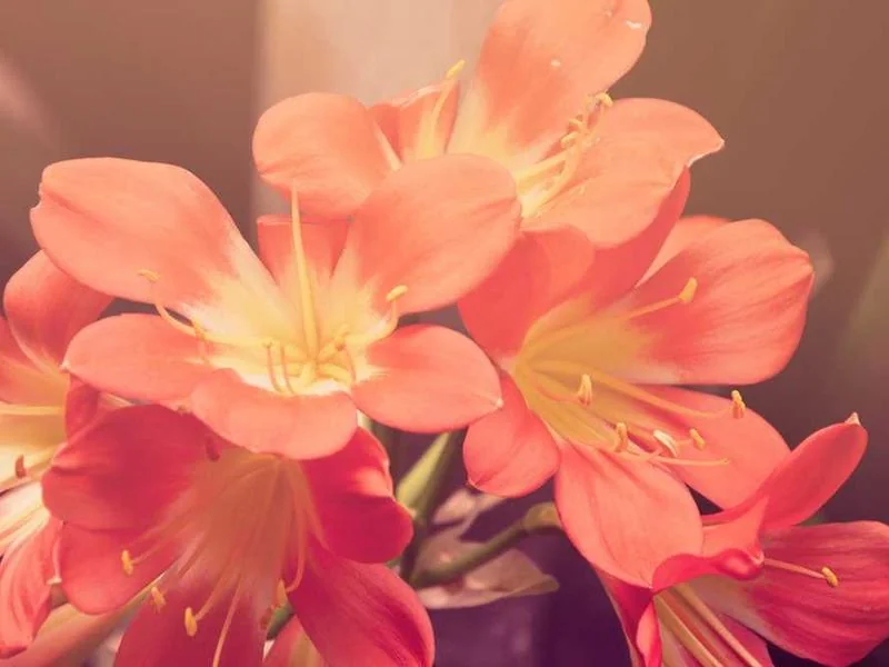 대곶면싱크대뚫음