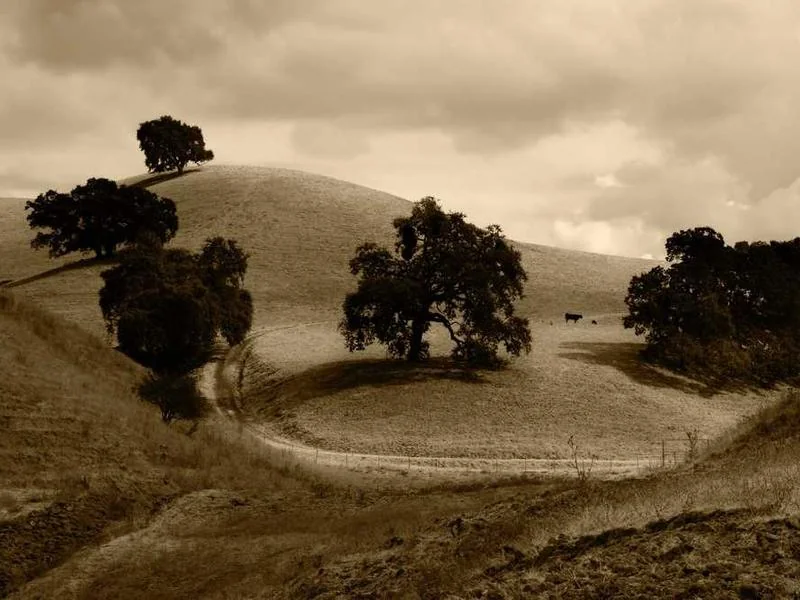 대곶면싱크대뚫음