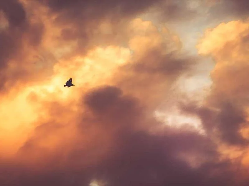 대곶면하수구고압세척