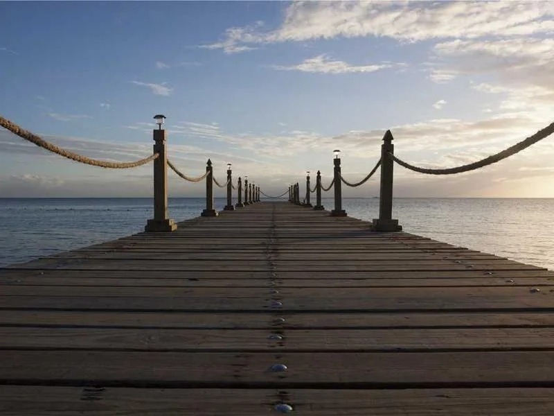 대곶면하수구막힘