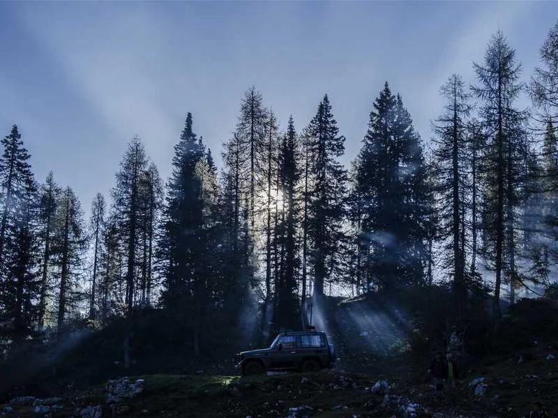 대곶면하수구역류