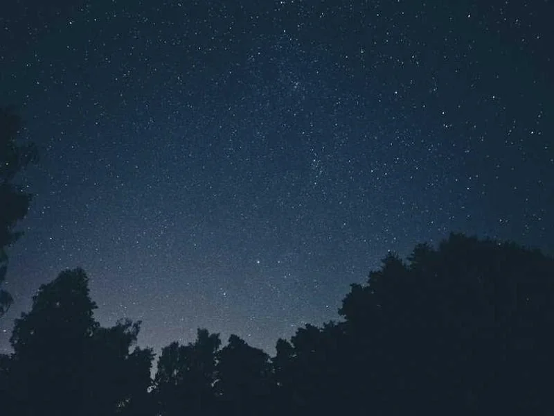 양촌읍변기뚫음