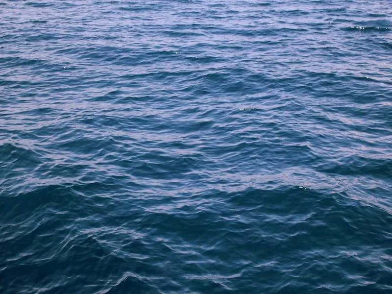 양촌읍변기역류