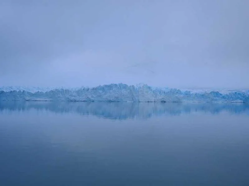 양촌읍변기역류