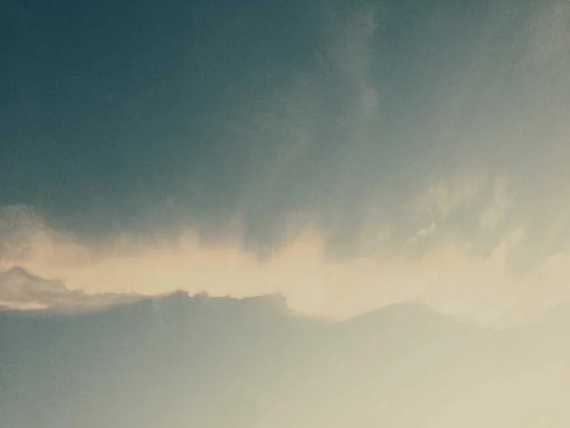 양촌읍변기역류