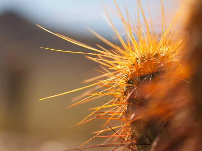 양촌읍싱크대뚫음