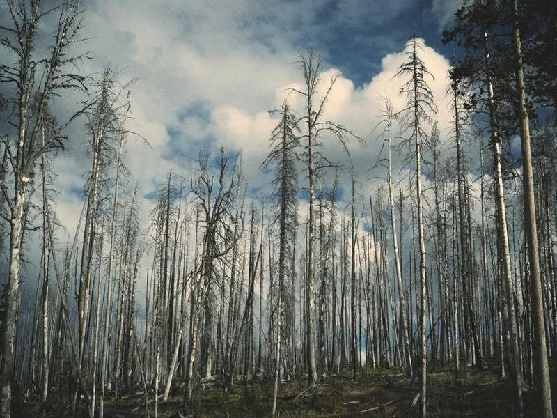 양촌읍씽크대뚫음