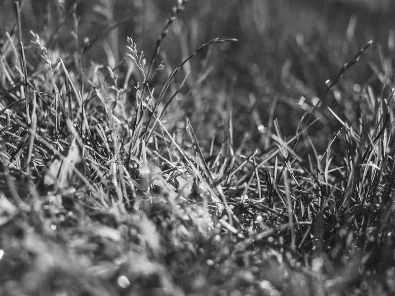 양촌읍씽크대막힘