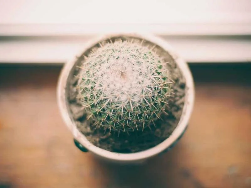 양촌읍씽크대역류