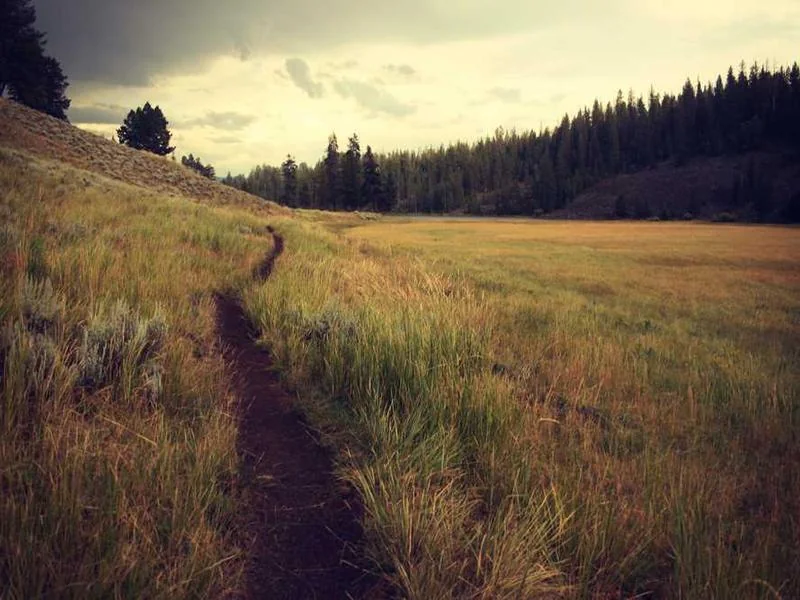 양촌읍씽크대역류