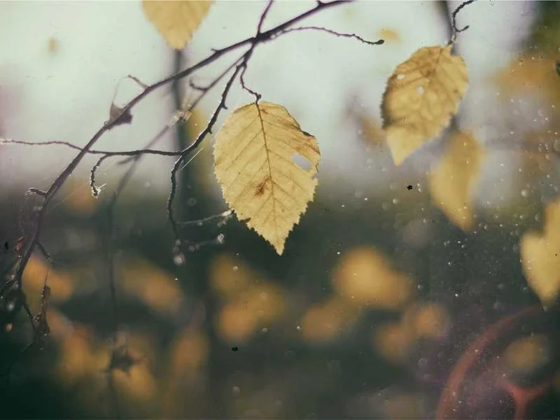 양촌읍하수구뚫음