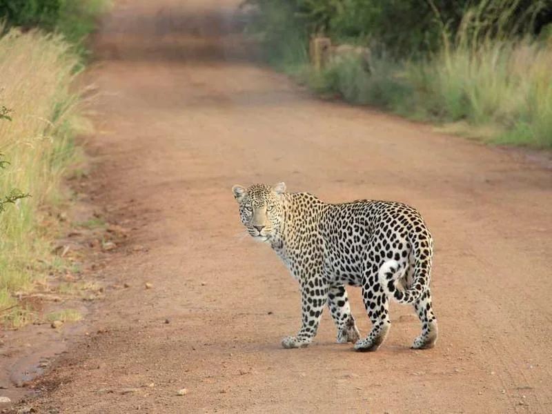 양촌읍하수구막힘