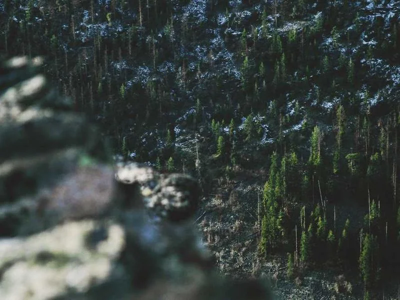 양촌읍하수구역류