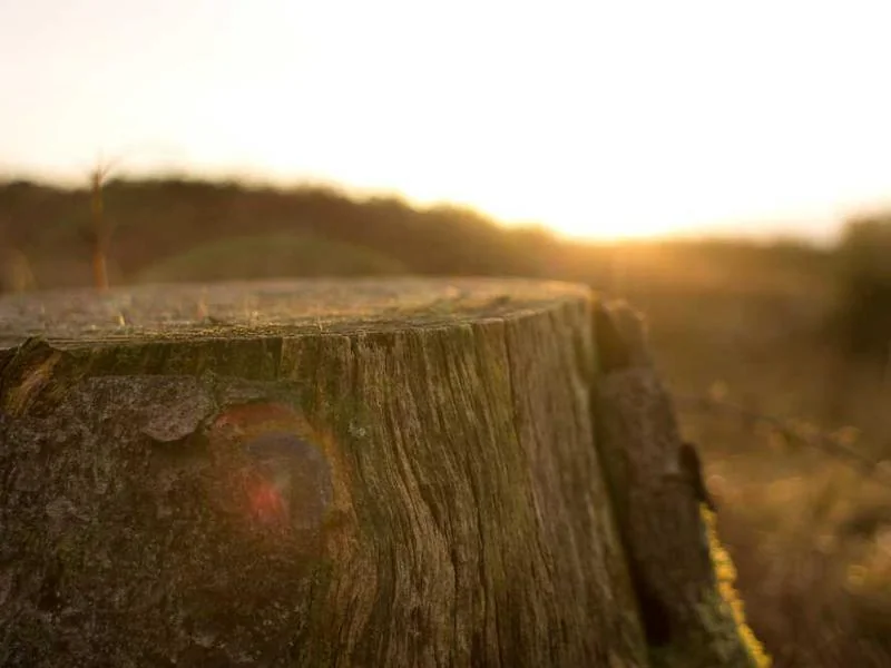 양촌읍하수구역류