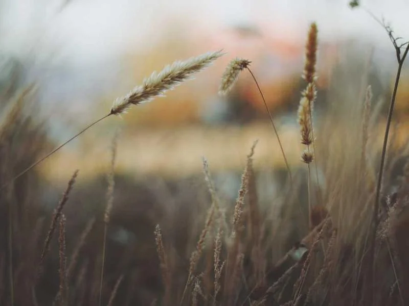 하성면변기뚫음