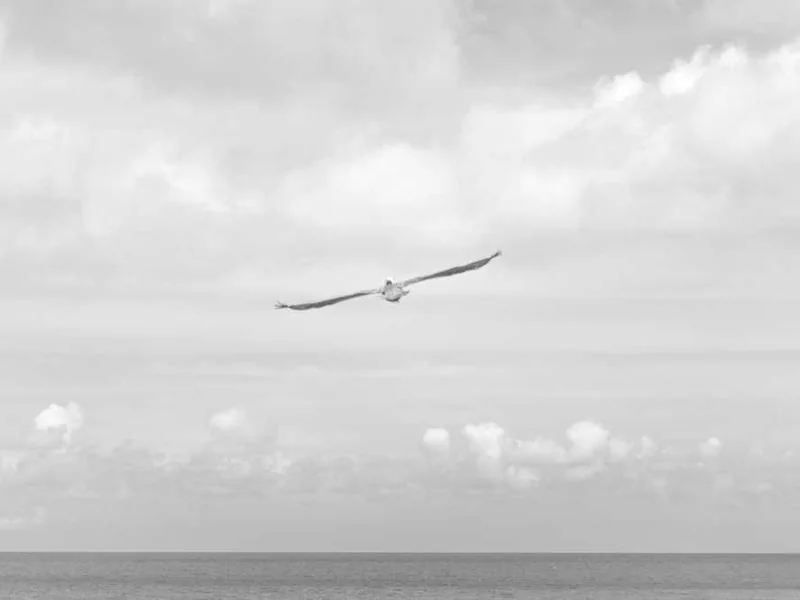 하성면변기막힘