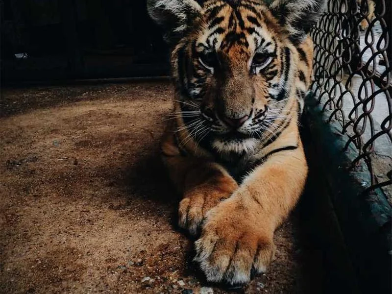 하성면싱크대막힘