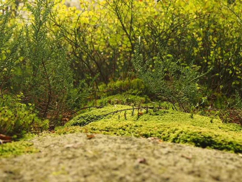 하성면싱크대막힘