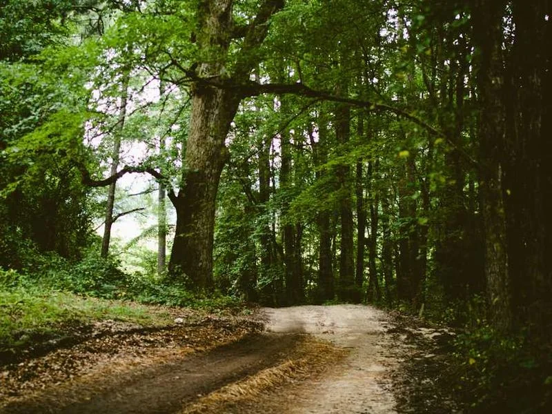 하성면씽크대역류